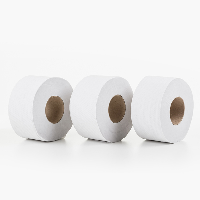 papel higiénico folha-a-folha papercare - away from home – 11x18